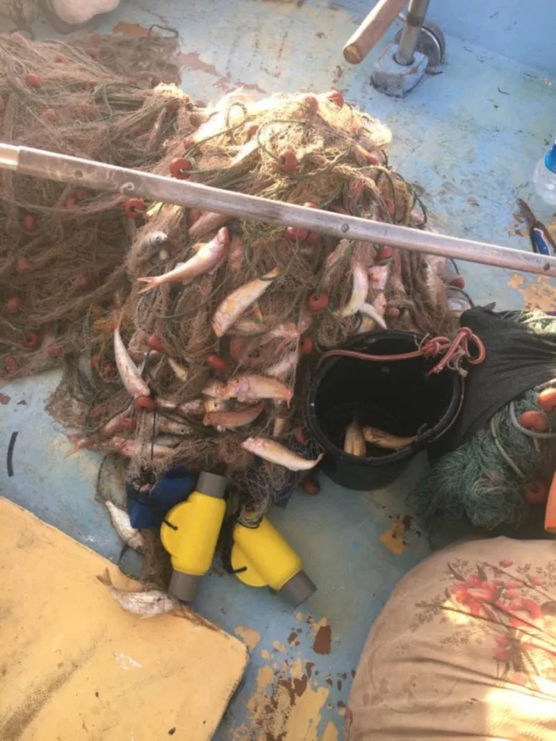 Wartung des Dolphin Pinger: 10 professionelle Möglichkeiten, die Lebensdauer des Geräts zu verlängern