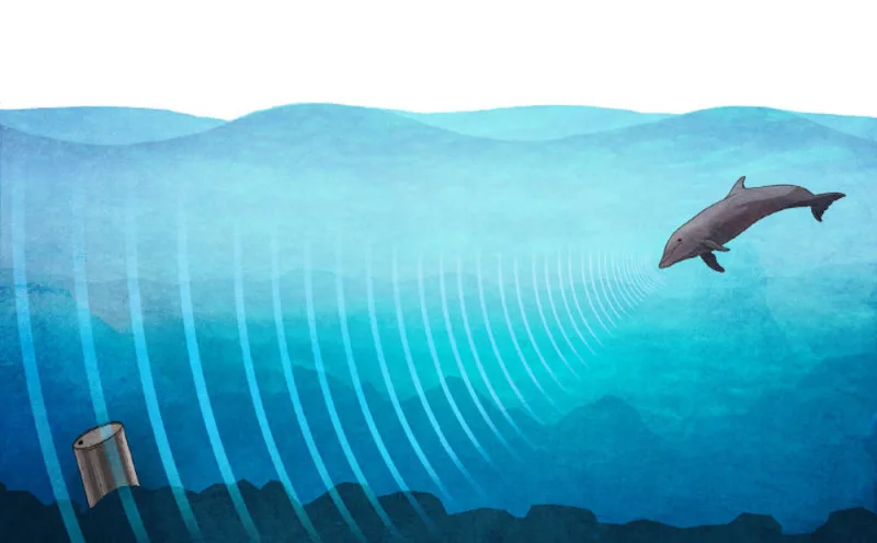 Cos'è un dispositivo acustico di deterrenza (ADD)? Soluzioni acustiche per la pesca sicura con mammiferi marini